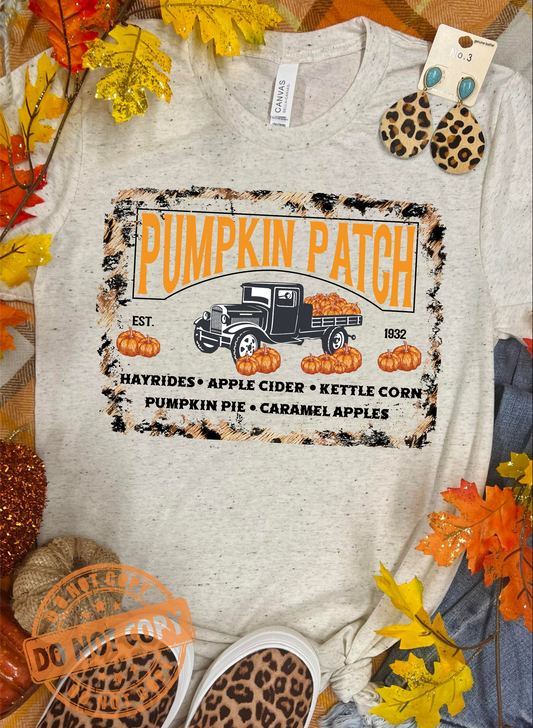 Pumpkin Patch Oatmeal Tee