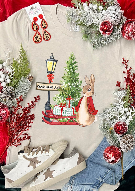 Petter Rabbit Christmas Tan Tee