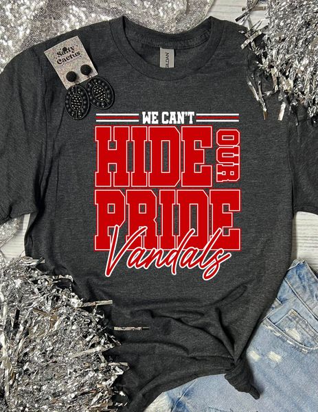 *DTF CUSTOM* We Can't Hide Our Pride Mascot Dark Grey Tee